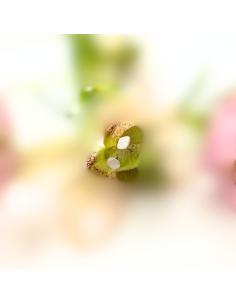 puce d'oreille argent rhodié forme carrée effet satiné création artisanale pour femme réalisée par Just'In Jewels 2