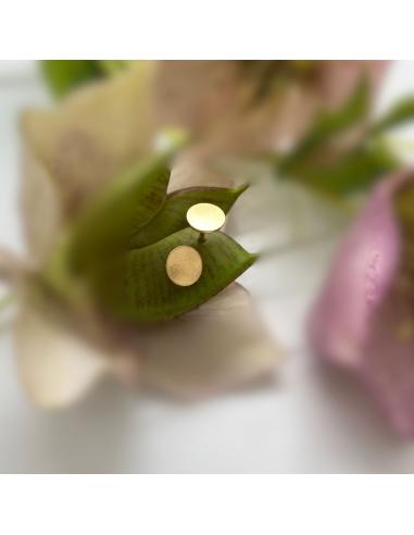 Puce d'oreille disque vermeil small