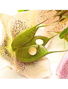 création artisanale pour femme réalisée par just'in jewels disque plaqué or vermeil