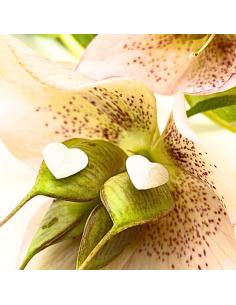 Boucle d'oreille puce en argent rhodié antiallergique forme coeur création artisanale pour femme réalisée par Just'in jewels