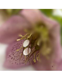 boucle d'oreille argent rhodié forme ovale création artisanale pour femme imaginée par Just'In Jewels 2