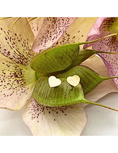 Puce d'oreille coeur vermeil grand