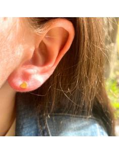 Puce d'oreille triangle... 2