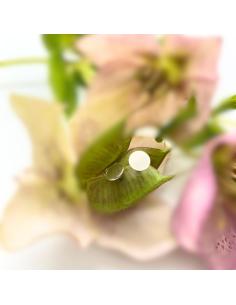 Perceuse d'oreille ronde...